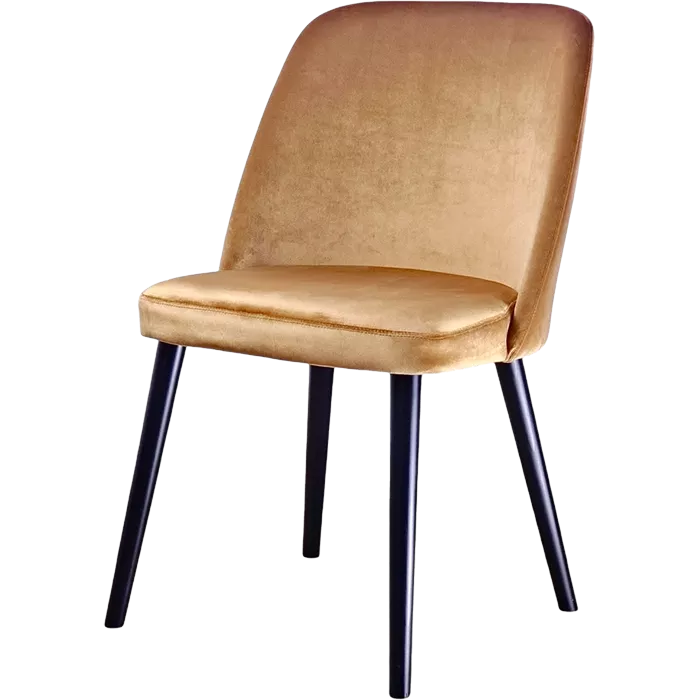 Polsterstuhl PM-11324